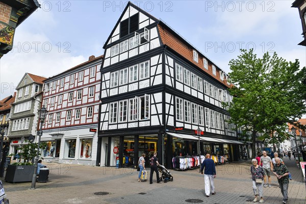 Half-timbered houses