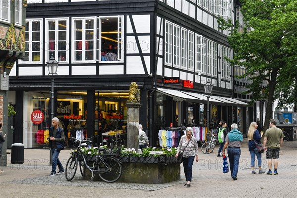 Half-timbered houses