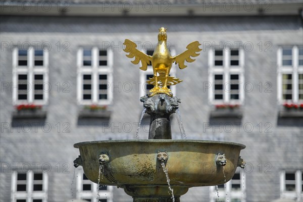 Market fountain with golden eagle