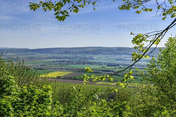 Weser Valley near Hessisch Oldendorf