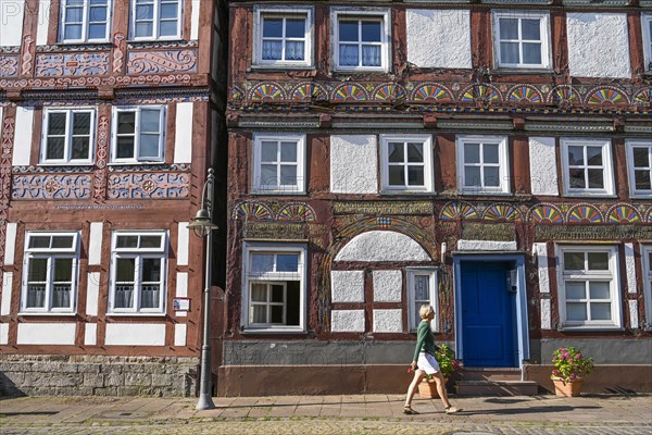 Half-timbered houses