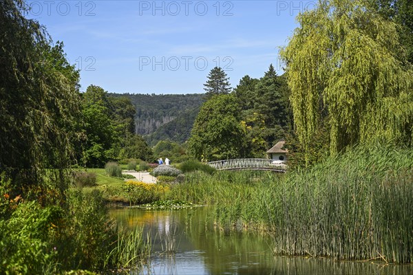 Pond