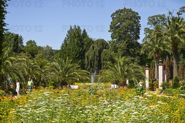 Palm Garden in the Spa Park