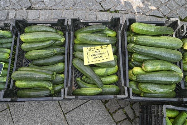 Courgettes