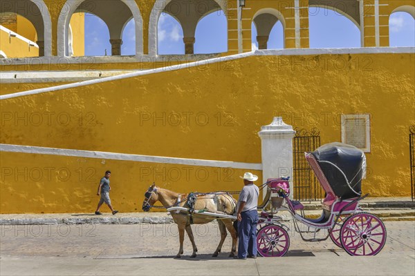 Horse-drawn carriage