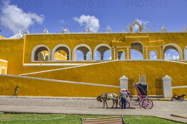 Horse-drawn carriage