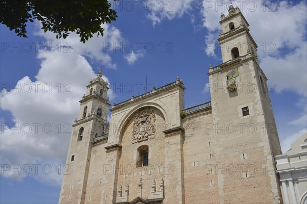 Cathedral de San Ildefonso