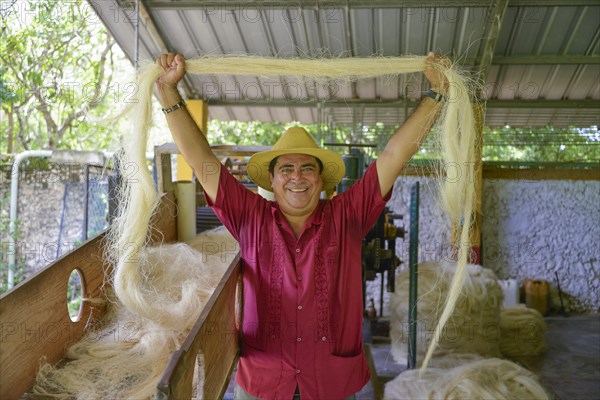 Production of sisal ropes