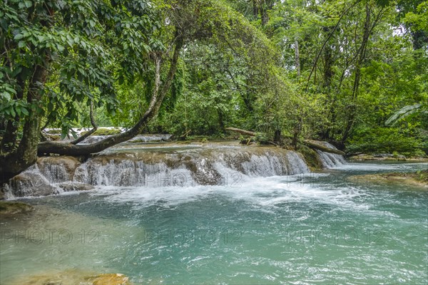 Agua Azul Waterfalls