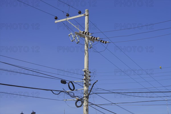 Power pole