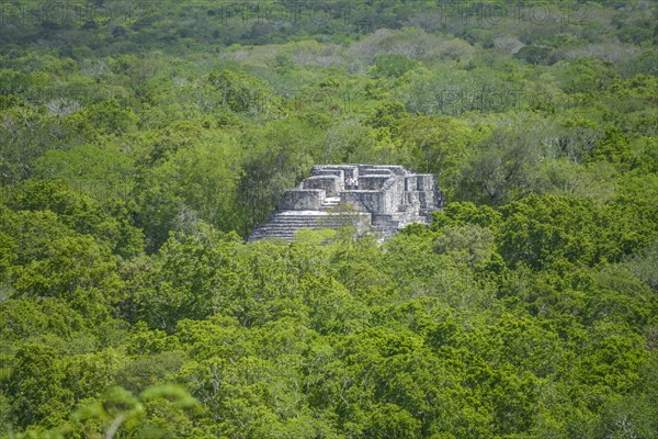 Pyramid of the North Group