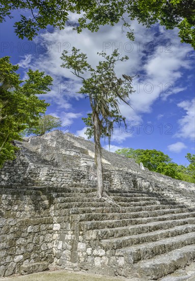 Main Pyramid Structure II