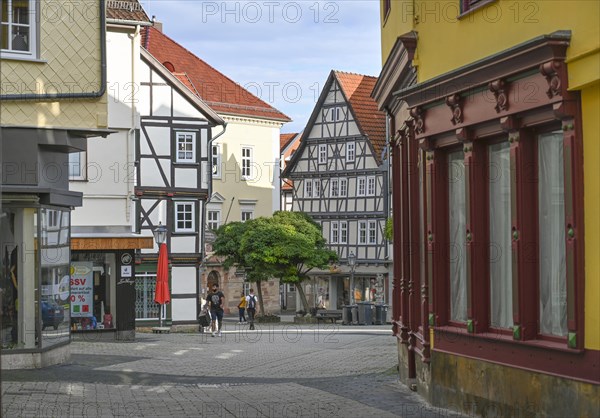 Half-timbered houses