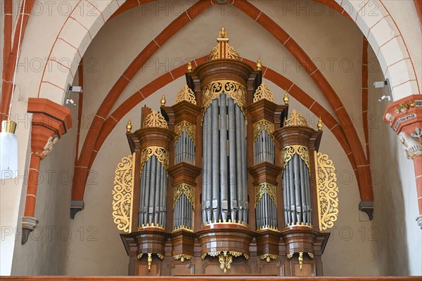 Heeren-Euler organ