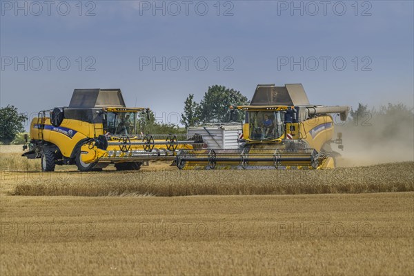 Grain harvest