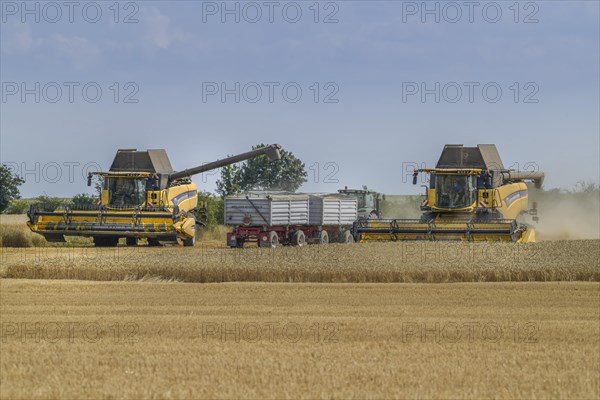 Grain harvest