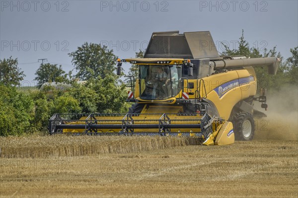 Grain harvest