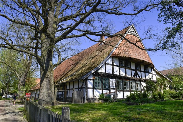 Westphalian Stork Museum