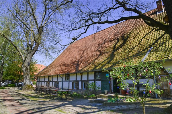 Westphalian Stork Museum