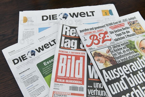 Springer Verlag newspapers: Die Welt