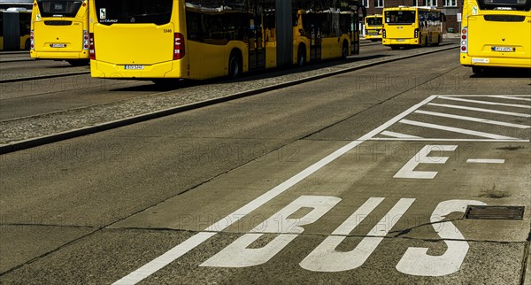 Parking for electric buses of the Berliner Verkehrsbetriebe at the Zoologischer Garten bus station