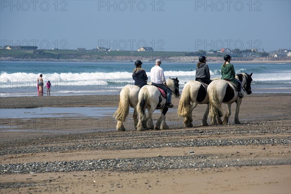 Horse-riding on the beach in beautiful seaside scene on Wild Atlantic Way. County kerry