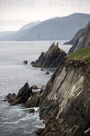 View of Blasket Sound and Great Blasket Island from cliffs at Coumeenole on Wild Atlantic way. County Kerry