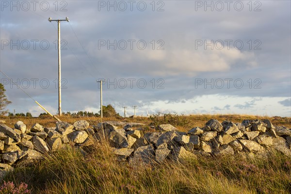 Evening sunshine on stone wall and telephone pole in County Galway. Galway