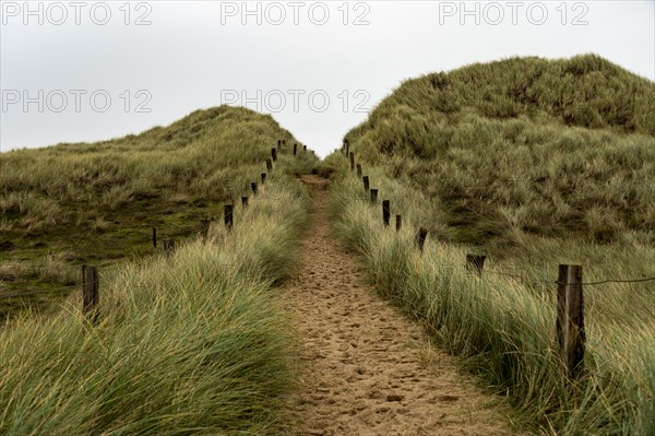 Sand path with dune grass and fence
