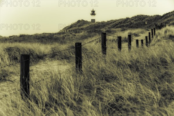 List-ost lighthouse with dune landscape