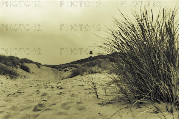 List-ost lighthouse with dune landscape