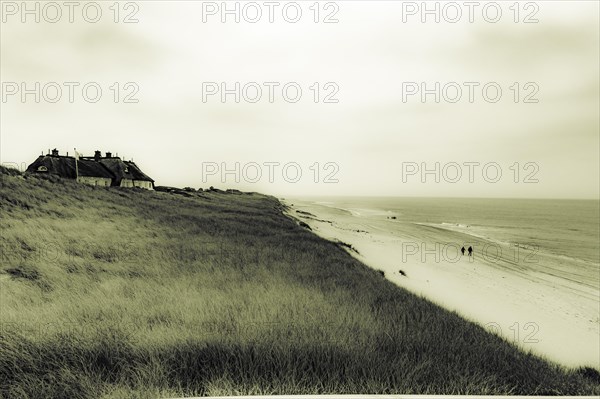 House in dune landscape