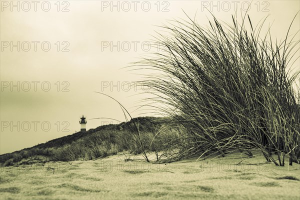 List-ost lighthouse with dune landscape