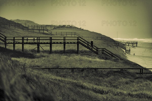 Footbridge with walker in dune landscape