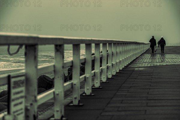 Walkers on the North Sea coast