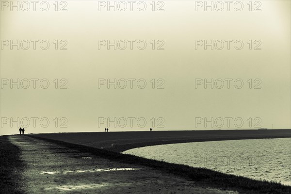 Walkers on the North Sea coast