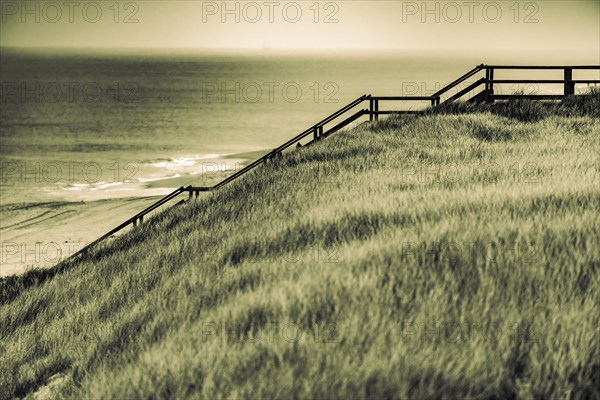 Footbridge with walker in dune landscape