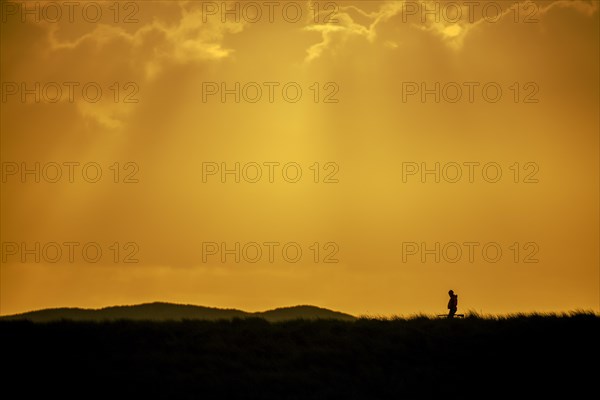 Hunter with rifle hunting