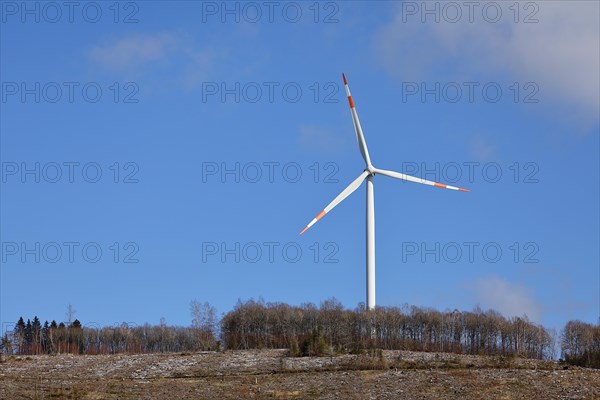 Wind turbine on a forest area destroyed by the bark beetle