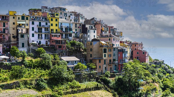 The village of Corniglia with its nested pastel-coloured houses built into the hillside