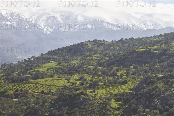 Spring in Crete