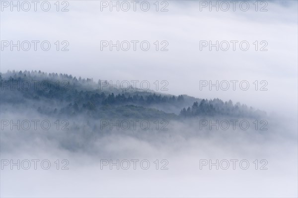 View from Katzenbuckel mountain with morning mist