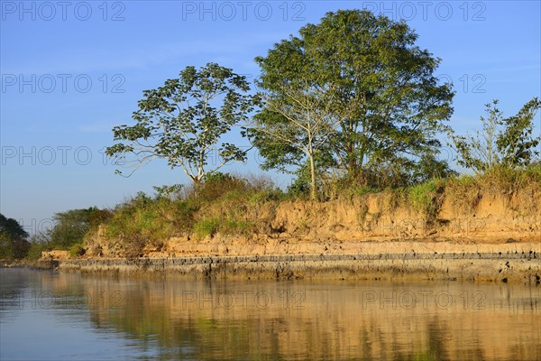 Bank reflected in the water of the Rio Sao Lourenco