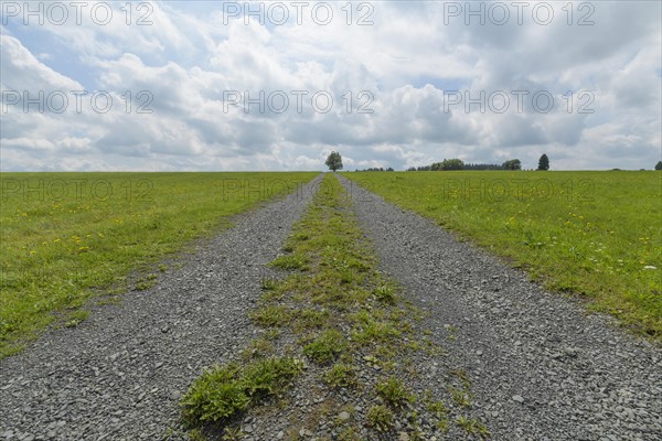 Dirt road in landscape