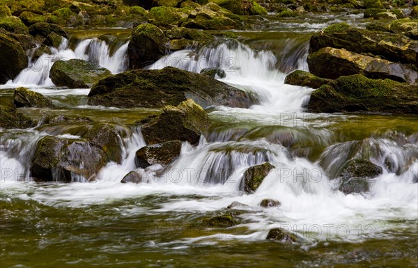 Mountain stream flows over moss-covered stones