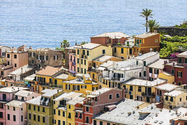 The village of Vernazza with its nested pastel-coloured houses built into the hillside