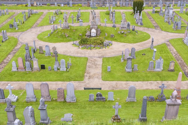 Grave plants on cemetery