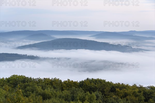 View from Katzenbuckel mountain with morning mist