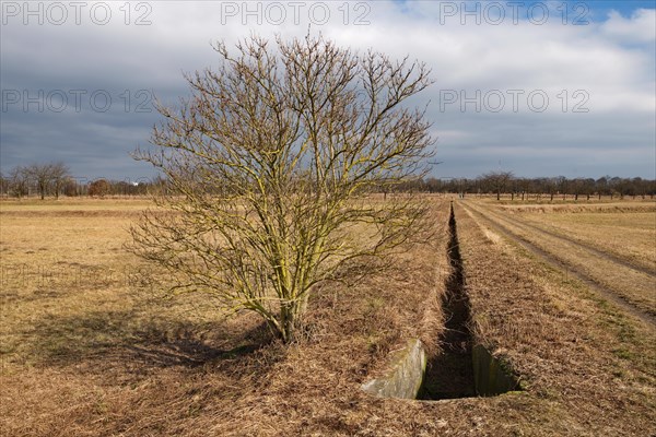 Spring on the former Karolinenhoehe sewage farm