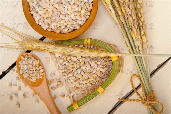 Organic barley grains over rustic wood table macro closeup